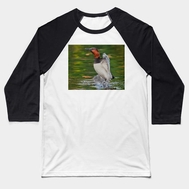 Canvasback Stretch Baseball T-Shirt by jforno